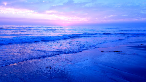 State Park «Moonlight State Beach», reviews and photos, 400 B St, Encinitas, CA 92024, USA