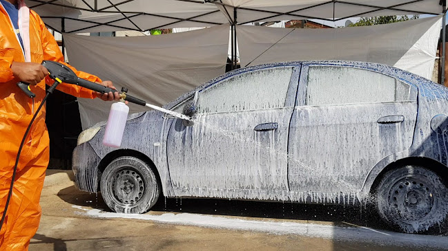 Opiniones de Detailing Gorila Detail - Servicio de Limpieza de Automóviles en San Antonio - Servicio de lavado de coches
