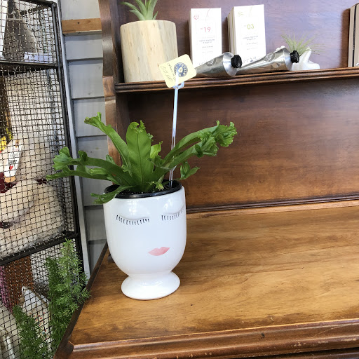 Florist «Petals & Vines», reviews and photos, 410 Main St E, Monmouth, OR 97361, USA