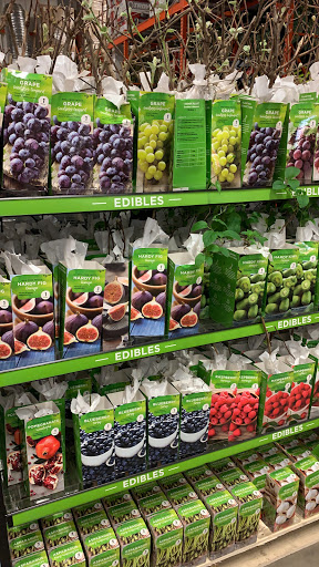 Home Improvement Store «The Home Depot», reviews and photos, 125 Reuben Bell Dr, Matamoras, PA 18336, USA