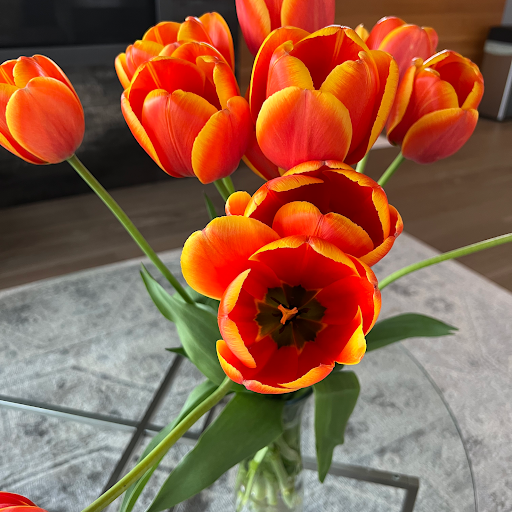 Insurance Agency «Youkie Chambers - State Farm Insurance Agent», reviews and photos