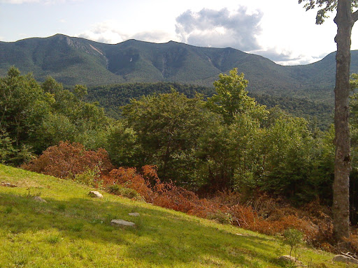 Park «Ward Park», reviews and photos, 57 Orchard St, Marlborough, MA 01752, USA