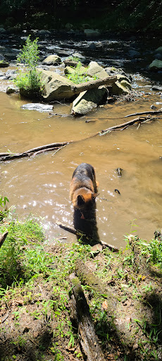 Historical Place «Jerusalem Mill», reviews and photos, 2813 Jerusalem Rd, Kingsville, MD 21087, USA