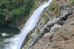 Cascada el Salto del Nogal, Tapalpa image