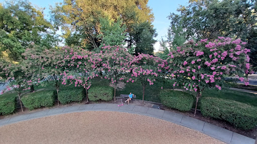 Park «Hillsborough Park», reviews and photos, 1001 Hillsborough Dr, Roseville, CA 95746, USA