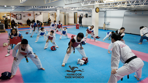 Champion Hankook Taekwondo