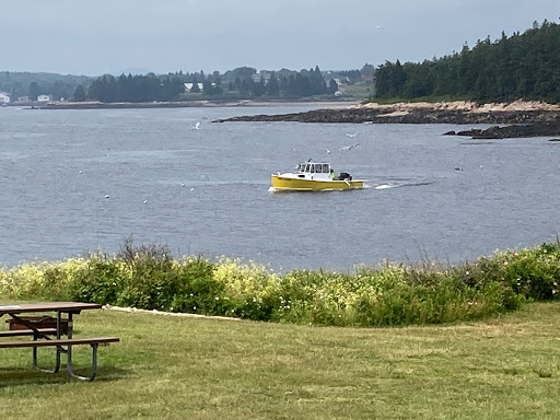 Vista Point «Schoodic Point», reviews and photos, Arey Cove Rd, Winter Harbor, ME 04693, USA