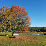 Photo n°1 de l'avis de João.a fait le 22/11/2017 à 20:33 sur le  Quinta de Lourosa à Lousada