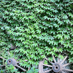 Photo n°2 de l'avis de Stefano.o fait le 27/07/2021 à 15:23 sur le  Agriturismo Torrazzetta à Borgo Priolo