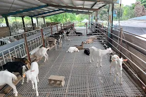 E-Long Goat Farm image