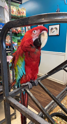 Pet Store «Animal Atlanta», reviews and photos, 6449 Bells Ferry Rd, Woodstock, GA 30189, USA