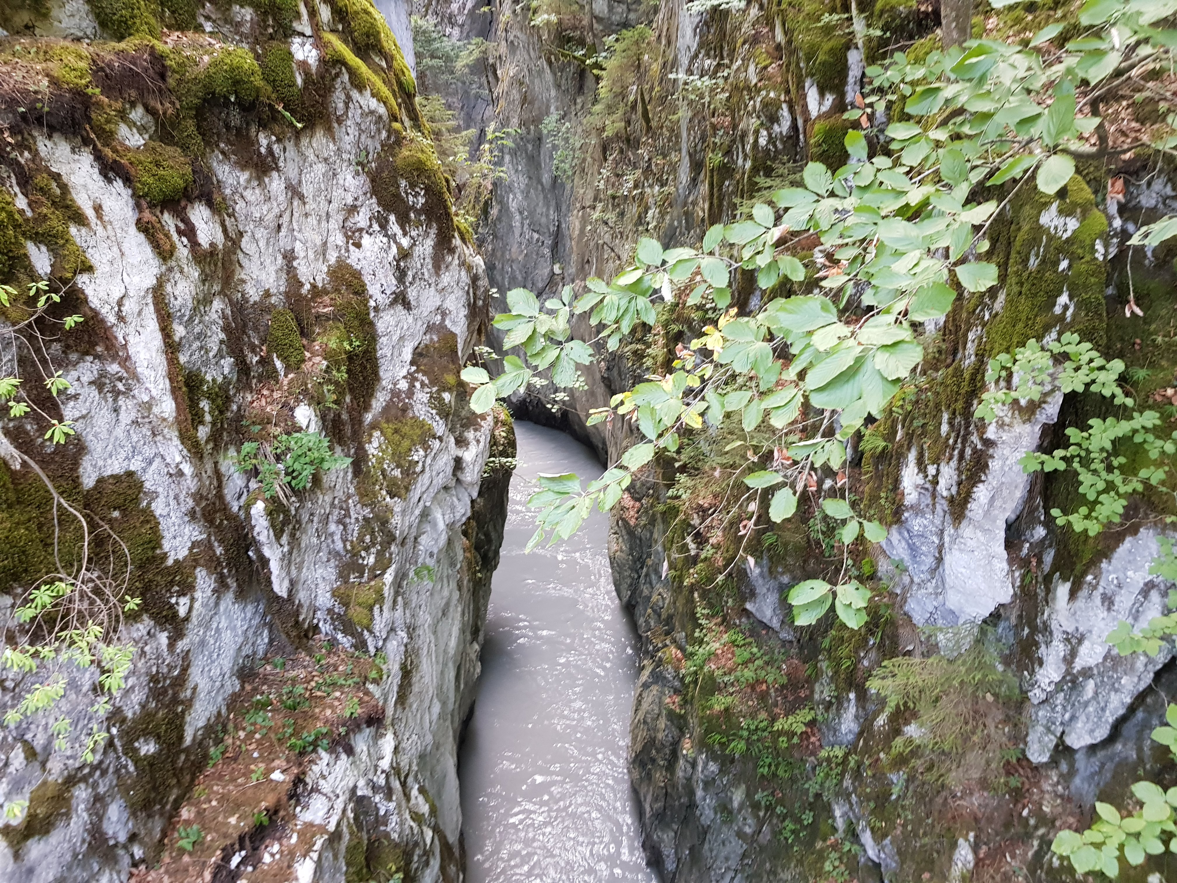 Photo n° 3 de l'avis de Julien.e fait le 06/09/2018 à 21:08