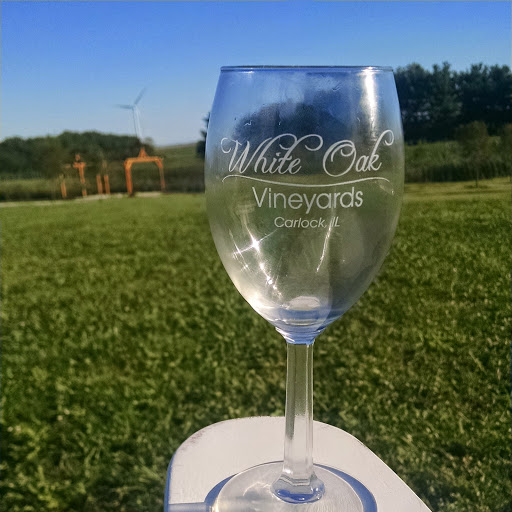 Vineyard «Sunset Lake Vineyards and Winery», reviews and photos, 8644 E 2100 North Rd, Carlock, IL 61725, USA