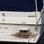 Photo n°15 de l'avis de K..a fait le 07/05/2018 à 17:23 sur le  Hotel Vacanze 2000 à Malcesine