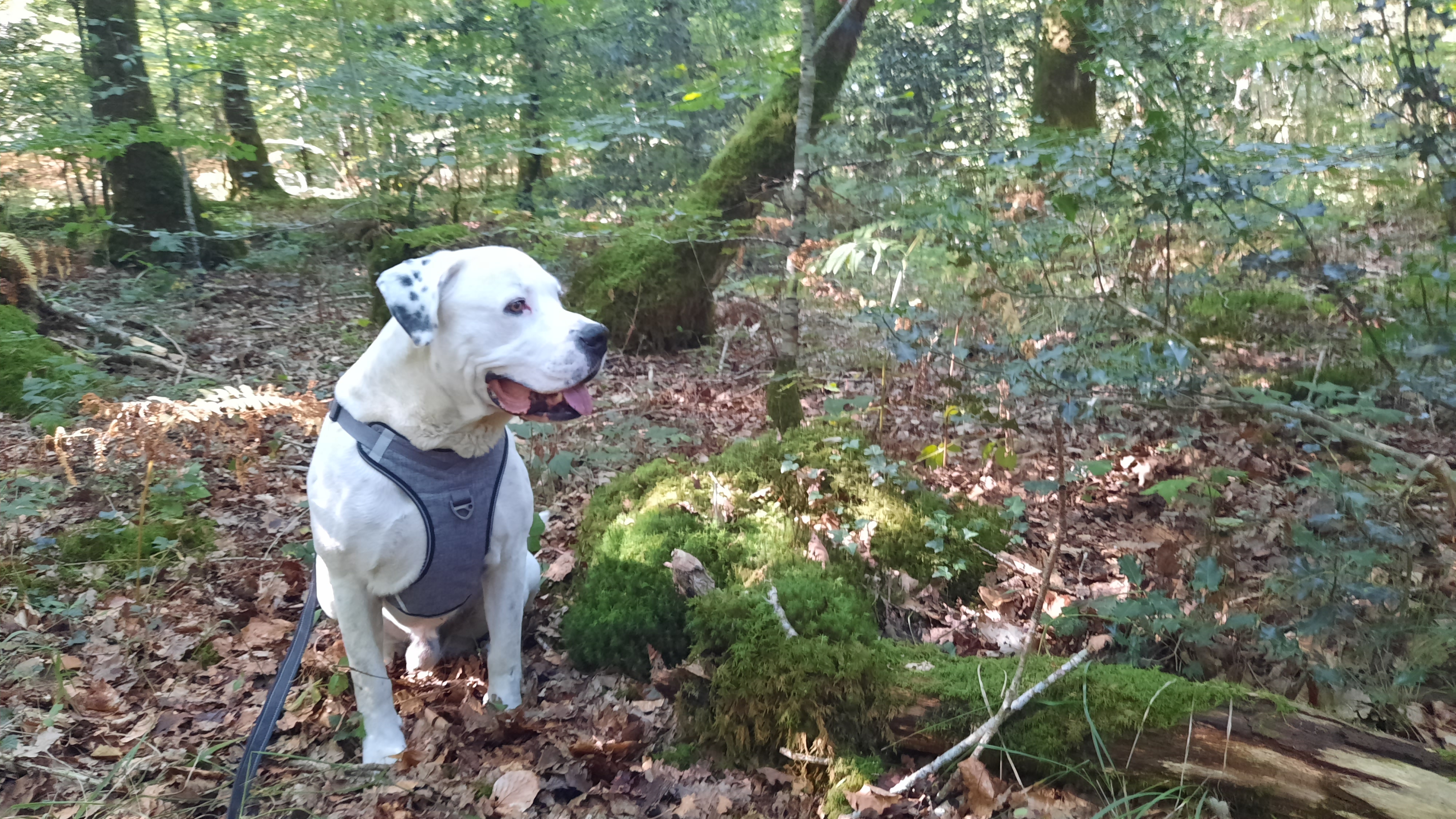 Photo n° 1 de l'avis de Nadege.o fait le 21/09/2022 à 11:40