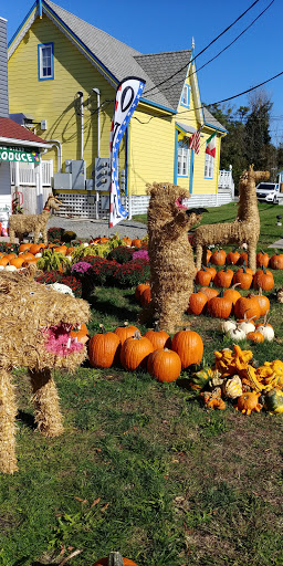 Wicker Store «Cape May Wicker», reviews and photos, 203 Sunset Blvd, West Cape May, NJ 08204, USA