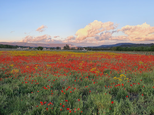 Immobilière de l'Aiguier à Saint-Saturnin-lès-Apt