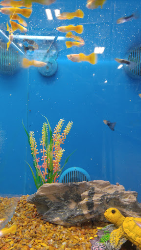 Pet Supply Store «PetSmart», reviews and photos, 144 Retail Commons Pkwy, Martinsburg, WV 25403, USA