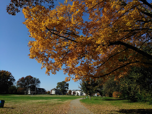 Park «Algonquin Park», reviews and photos, 1614 Cypress St, Louisville, KY 40210, USA