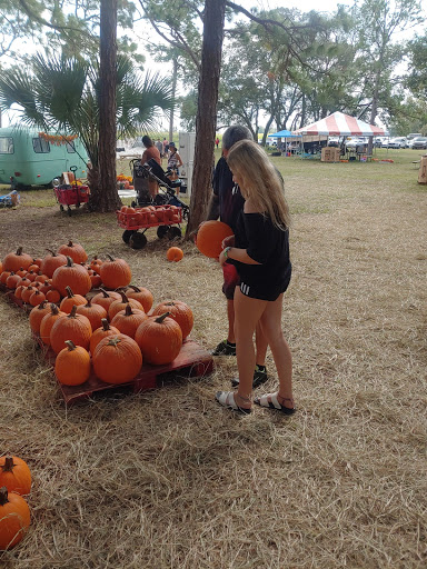 Tourist Attraction «Partin Ranch Corn Maze», reviews and photos, 5601 N Canoe Creek Rd, Kenansville, FL 34739, USA