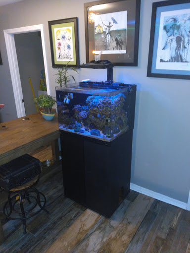 Tropical Fish Store «Pass Road Pet Center (Just Fish)», reviews and photos, 1939 Pass Rd, Biloxi, MS 39531, USA