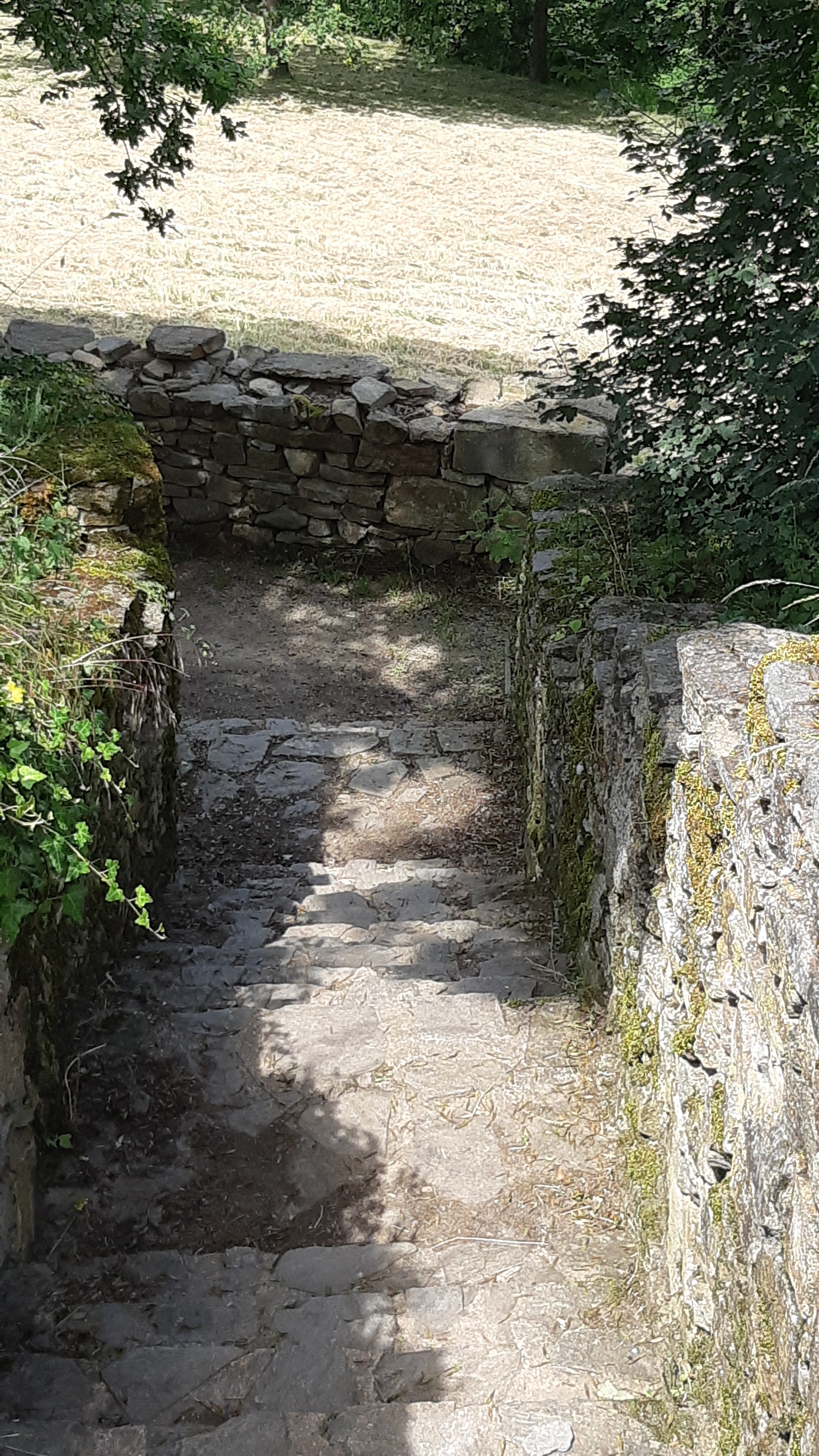 Photo n° 5 de l'avis de Marie. fait le 19/06/2023 à 17:10
