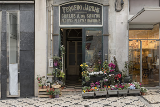 Lojas de flores baratas Lisbon