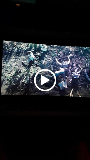 Movie Theater «AMC Hampton Towne Centre 24», reviews and photos, 1 Towne Centre Way, Hampton, VA 23666, USA