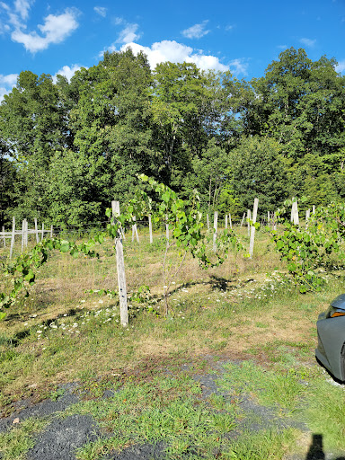Winery «Bashakill Vineyards», reviews and photos, 1131 S Rd, Wurtsboro, NY 12790, USA