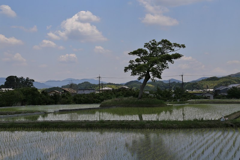 古宮遺跡 伝推古天皇小墾田宮跡 奈良県 史跡 グルコミ