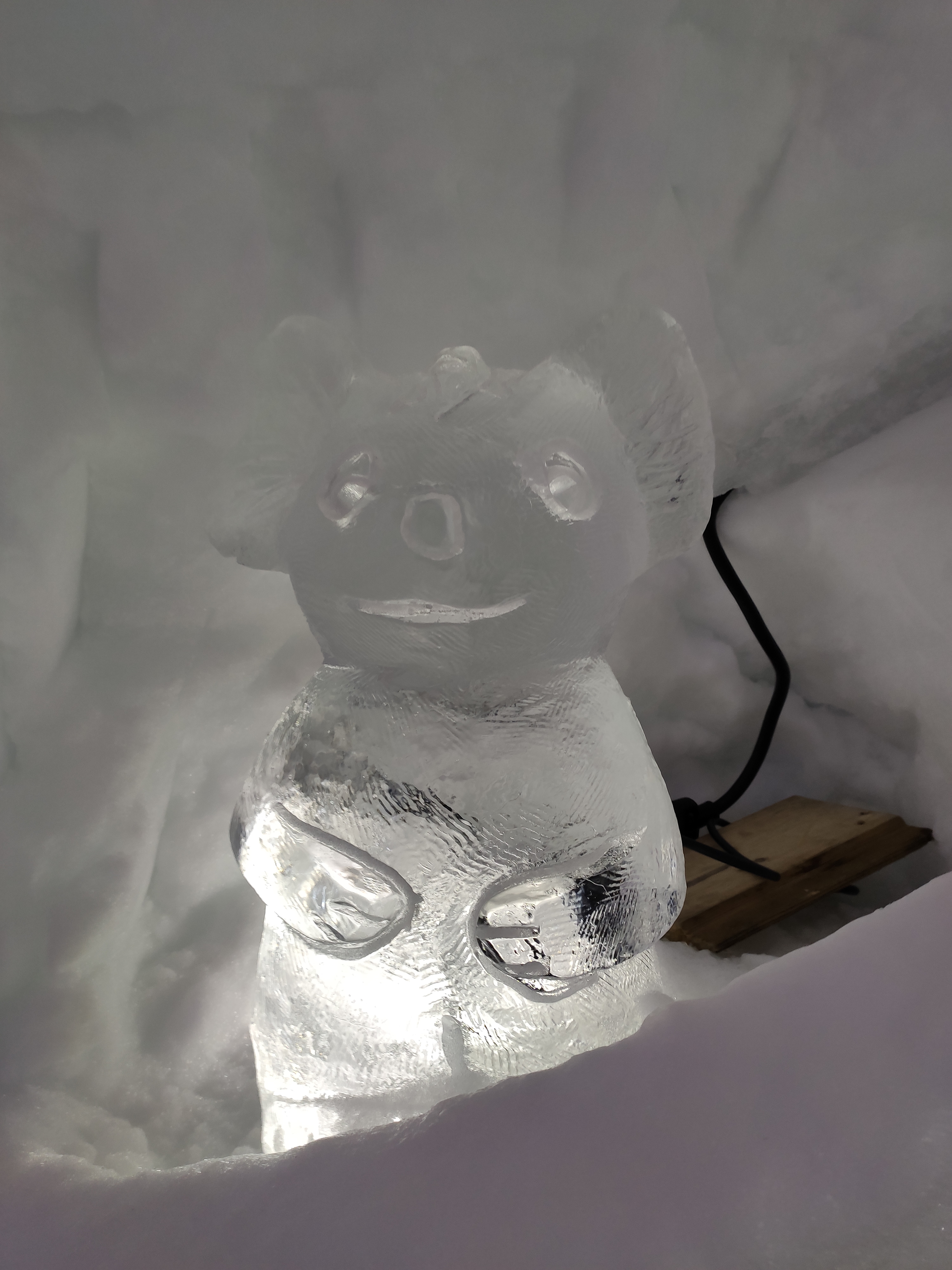 Photo n° 7 de l'avis de Chloé.l fait le 24/02/2020 à 16:29