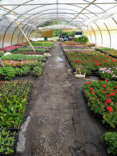 GAEC Les Jardins Mauves (Horticulture et Maraîchage biologique) à Mauves-sur-Loire