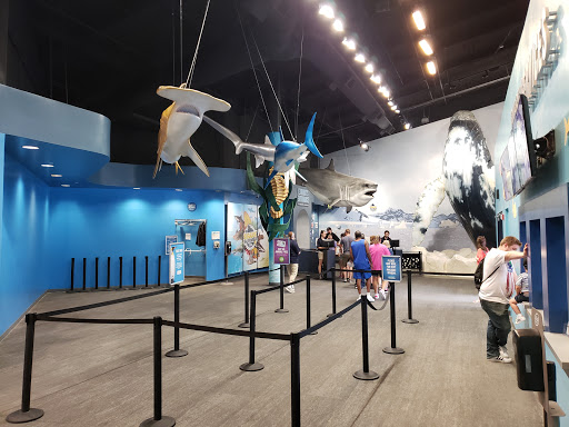 Aquarium «Newport Aquarium», reviews and photos, 1 Aquarium Way, Newport, KY 41071, USA