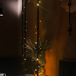 Photo n°10 de l'avis de Giada.a fait le 28/01/2023 à 08:40 sur le  I Mori à Milan