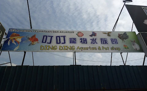 Ding Ding Aquarium & Pet Shop image