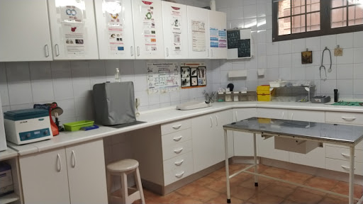 Consultorio Veterinario Navahermosa en Navahermosa