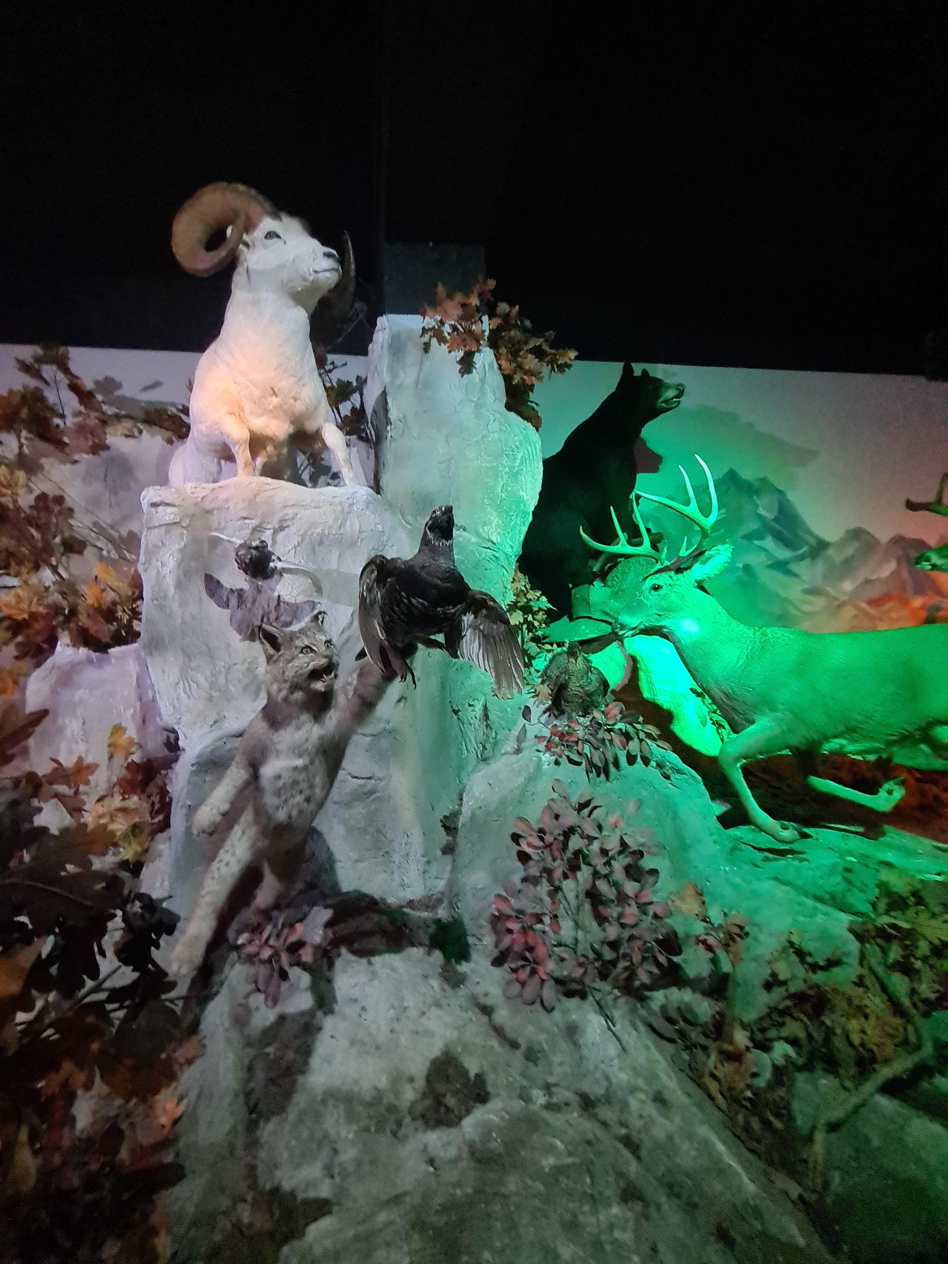 Photo n° 7 de l'avis de Antoine.u fait le 02/08/2023 à 07:13