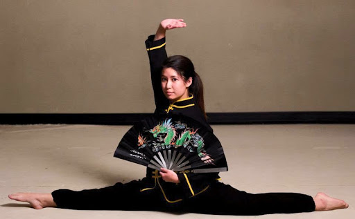 Martial Arts School «Shaolin Wu-Yi Institute», reviews and photos, 3100 Independence Pkwy #316, Plano, TX 75075, USA