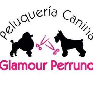 peluqueria canina glamour perruno - San Vicente
