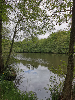 PARC NATUREL DÉPARTEMENTAL DE TROUSSE-BOIS à Briare