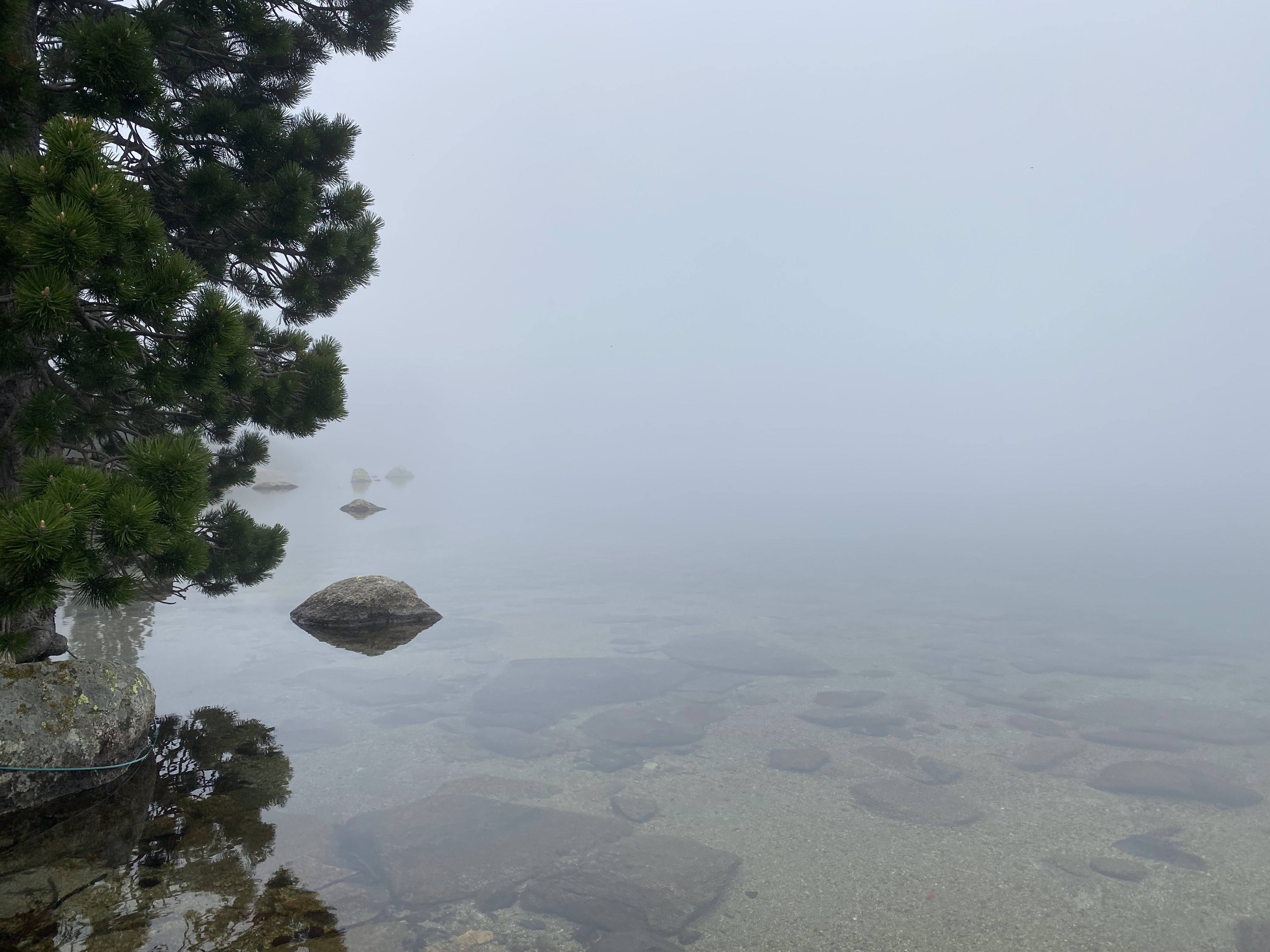 Photo n° 2 de l'avis de Aurélien.H fait le 24/05/2020 à 13:29