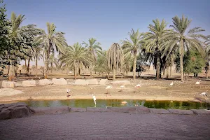 منتزه الصحراء Desert Park image