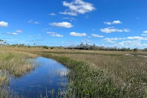 Pine Glades Natural Area image