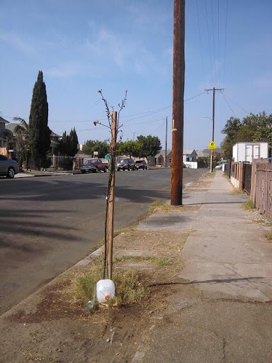 Thrift Store «Sun Thrift Store», reviews and photos, 8800 Foothill Blvd, Sunland-Tujunga, CA 91040, USA