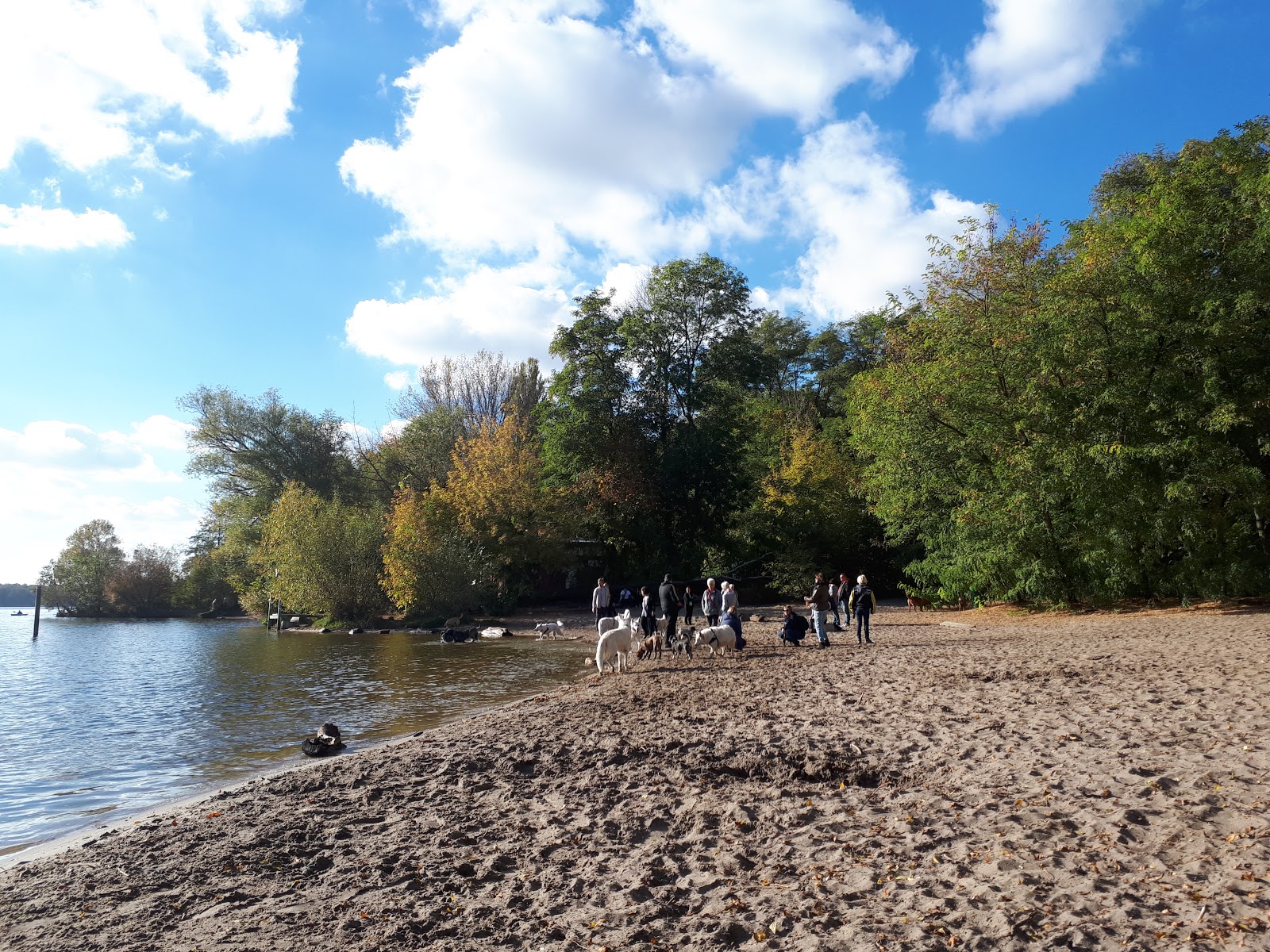 Stossensee Spandau Beach的照片 带有直岸