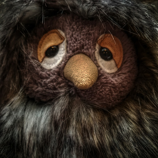 Used Book Store «Loganberry Books», reviews and photos, 13015 Larchmere Blvd, Cleveland, OH 44120, USA