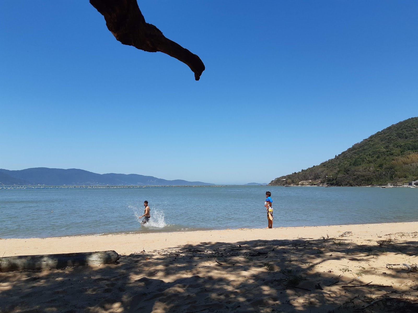 Photo de Praia De Fora Marisqueira avec un rivage droit