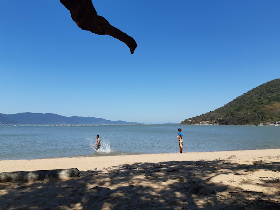 Praia De Fora Marisqueira