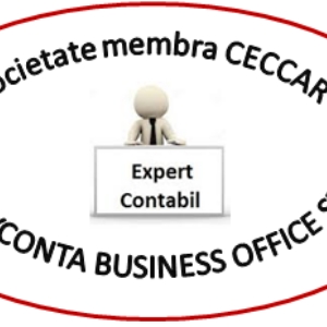 Contabil Expert / Firma de contabilitate ALEXCONTA