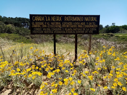 Cañada La Negra